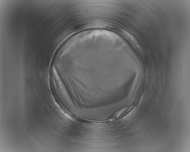 X0000073830802200608311907