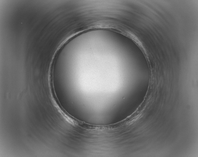 X0000073830803200608311907