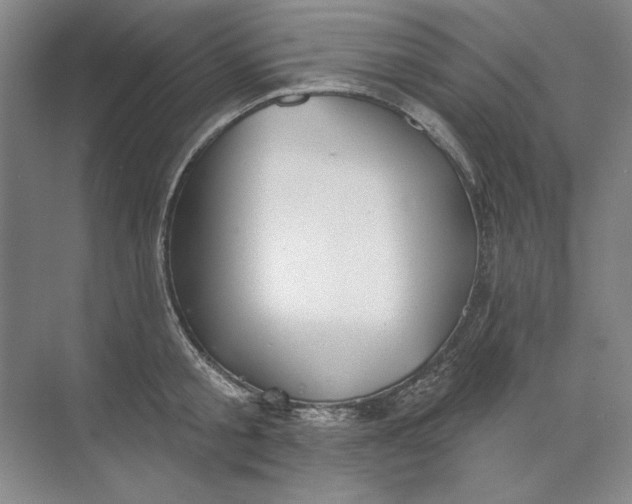 X0000073830805200608311907