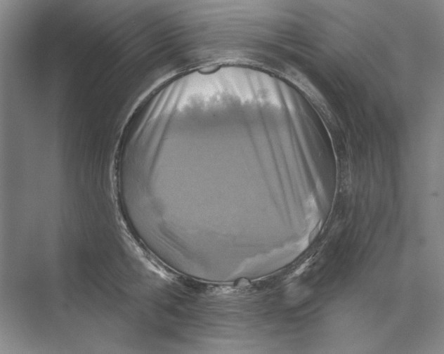 X0000073830806200608311907