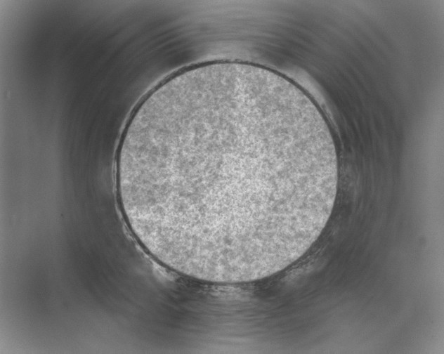 X0000073830807200608311907