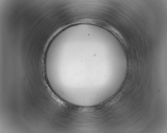 X0000073830808200608311907