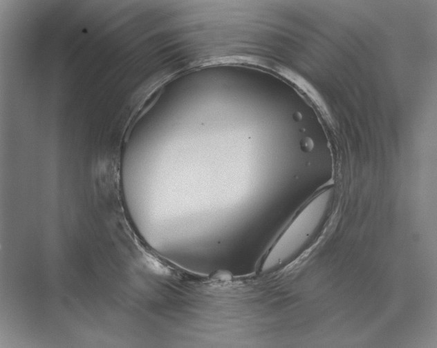 X0000073830809200608311907