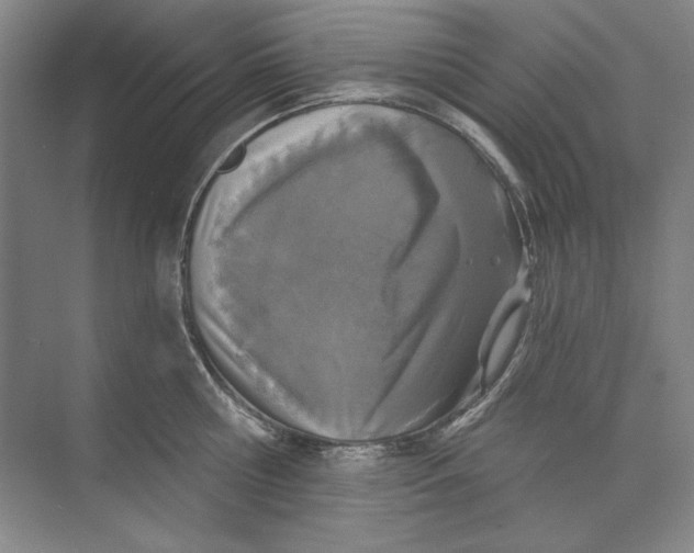 X0000073830810200608311907