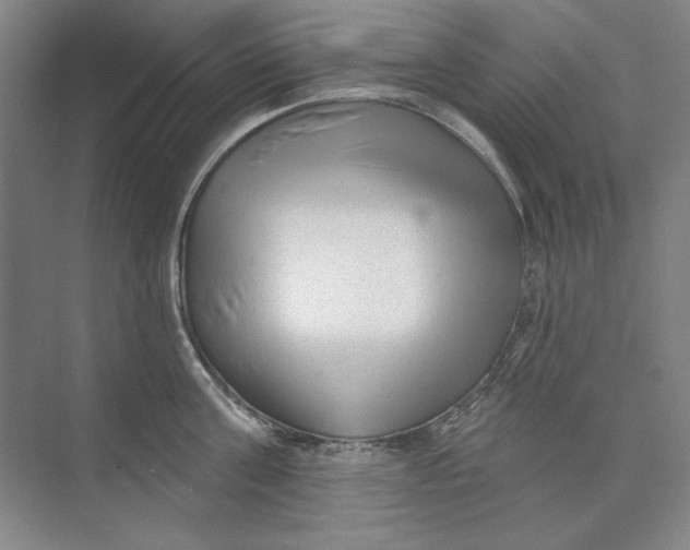 X0000073830811200608311907