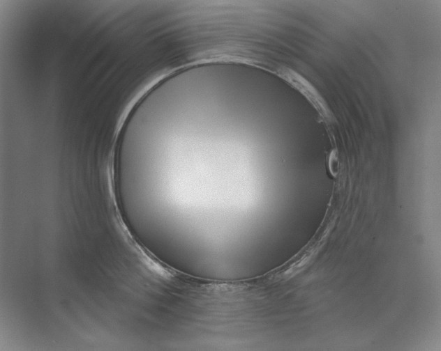 X0000073830812200608311907