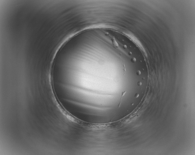 X0000073830813200608311907