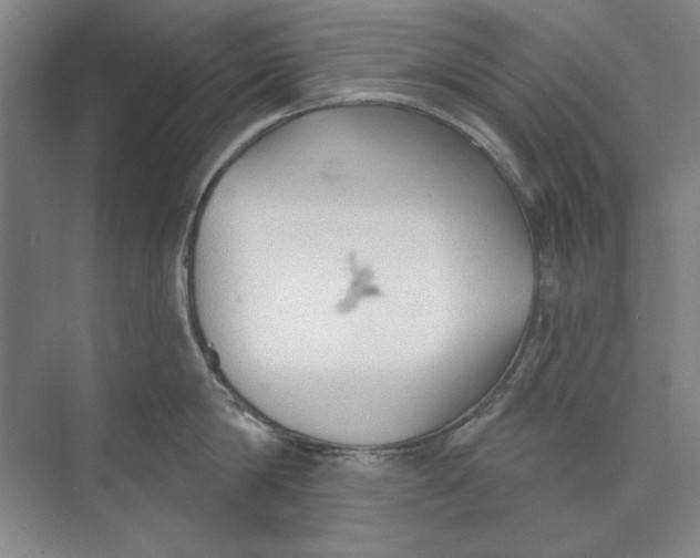 X0000073830814200608311907