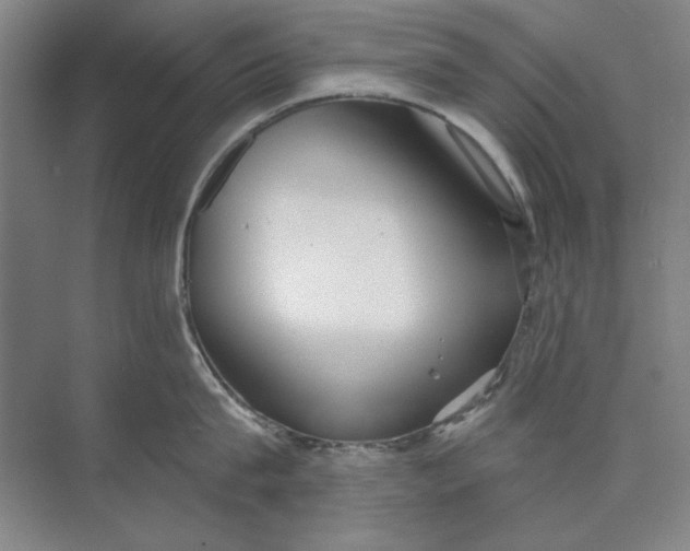 X0000073830815200608311907