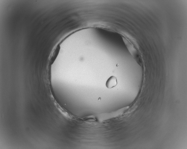 X0000073830816200608311907