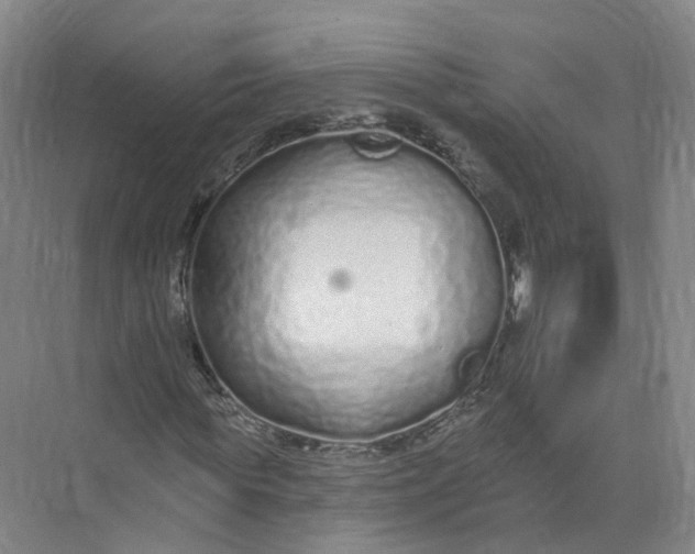 X0000073830819200608311906