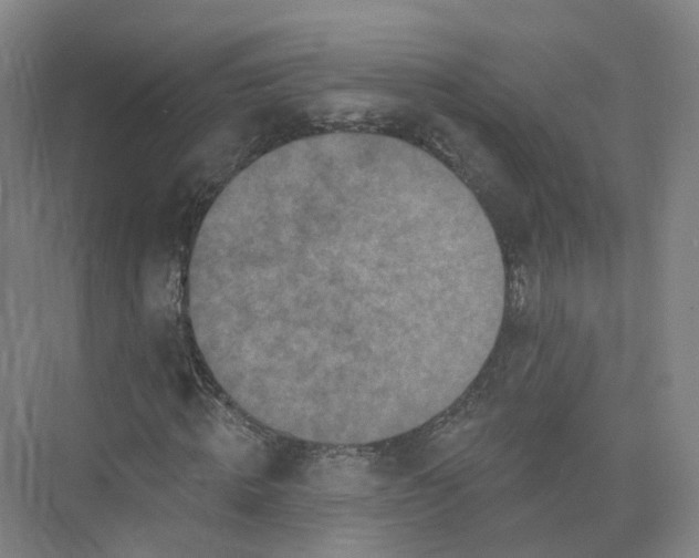 X0000073830820200608311906