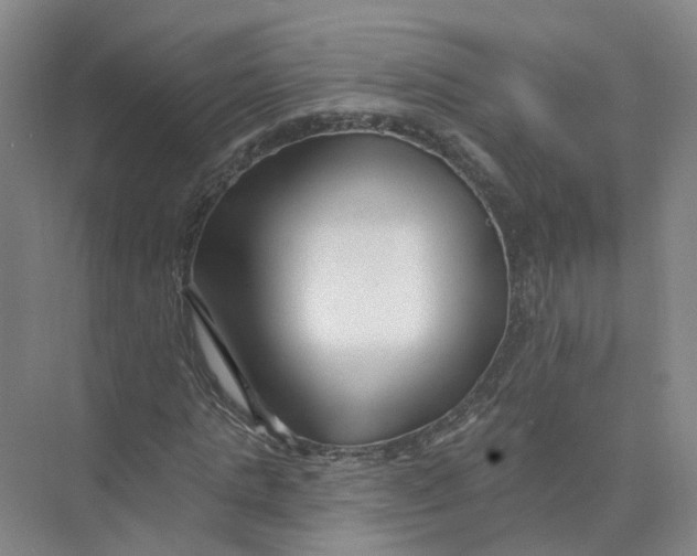 X0000073830821200608311906