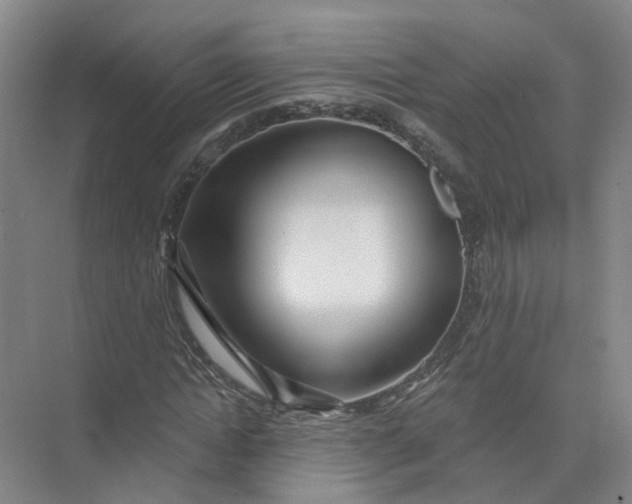 X0000073830822200608311906