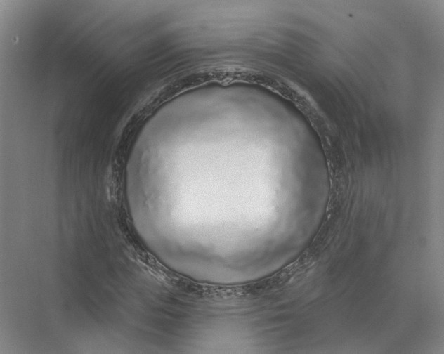 X0000073830823200608311906