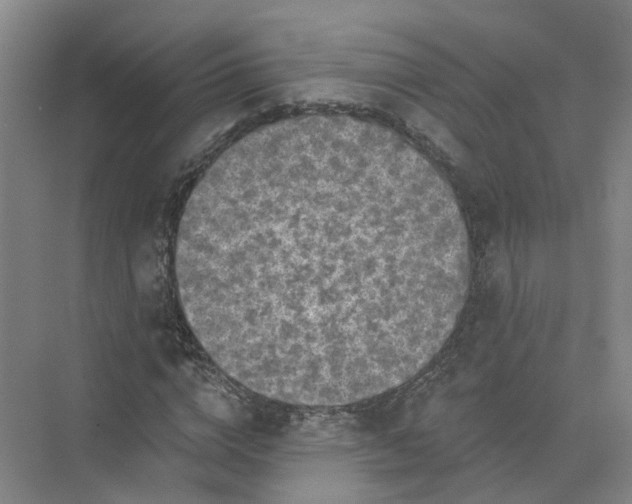 X0000073830824200608311906