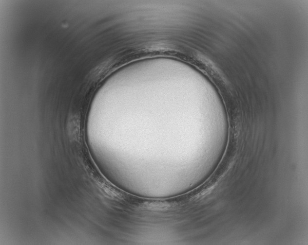 X0000073830825200608311906