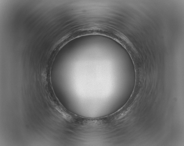 X0000073830826200608311906