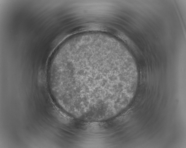 X0000073830828200608311906