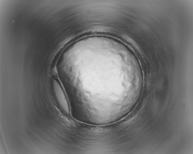 X0000073830829200608311906