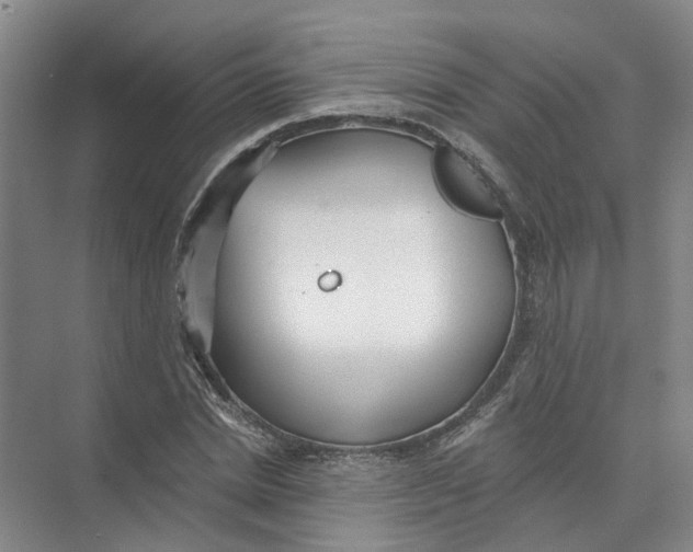 X0000073830830200608311906