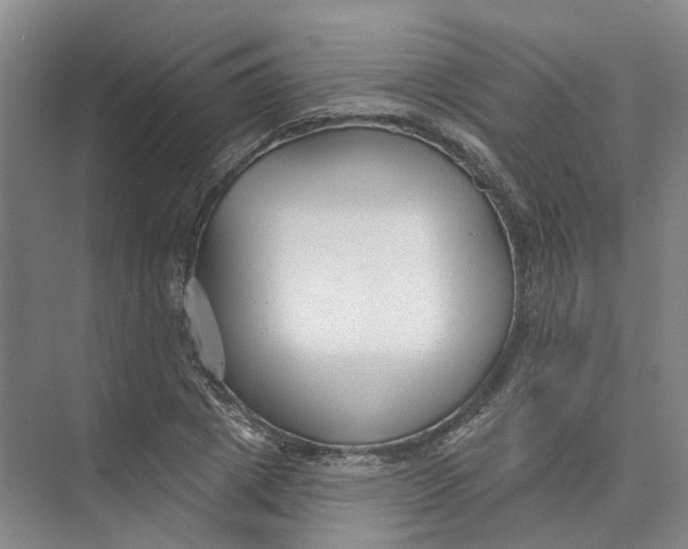 X0000073830833200608311906