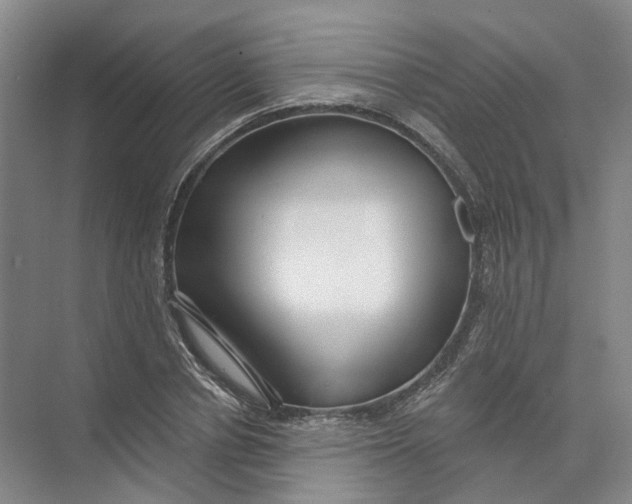 X0000073830834200608311906