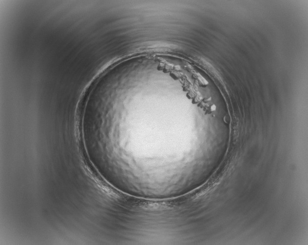 X0000073830835200608311906