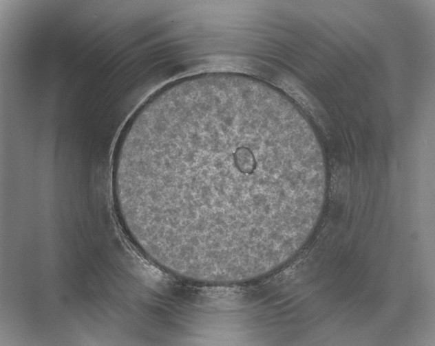 X0000073830836200608311906