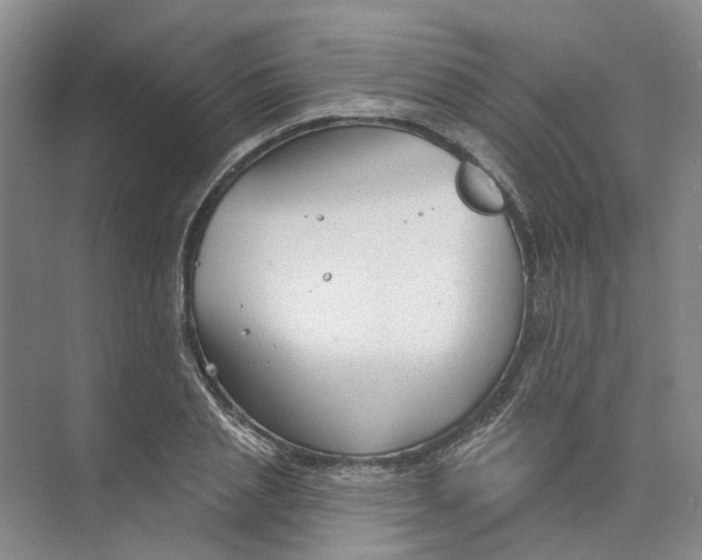 X0000073830837200608311906