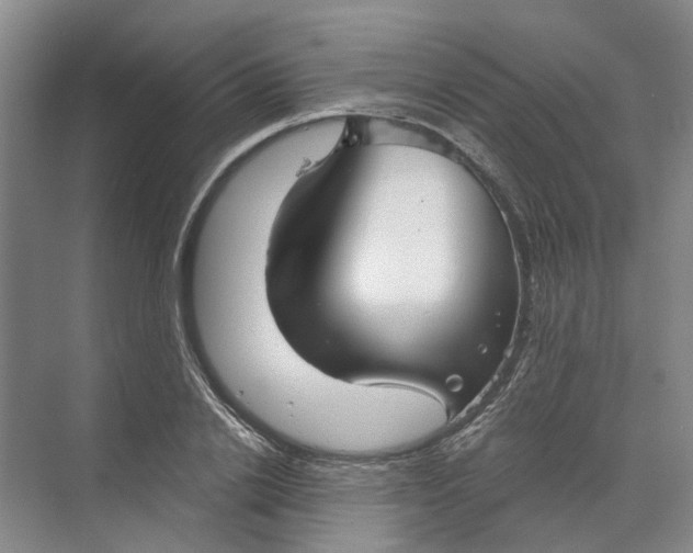 X0000073830838200608311906