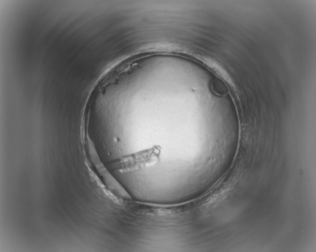 X0000073830839200608311906