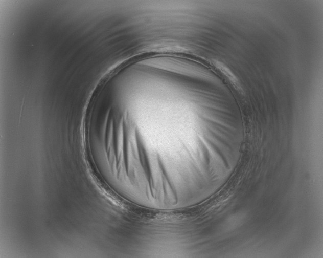 X0000073830840200608311906