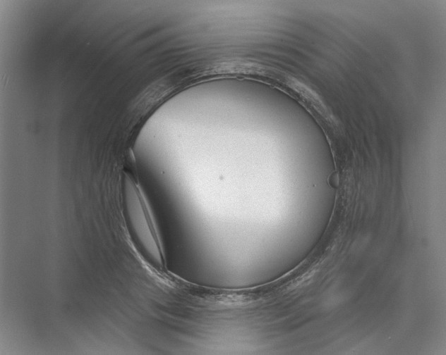 X0000073830841200608311906