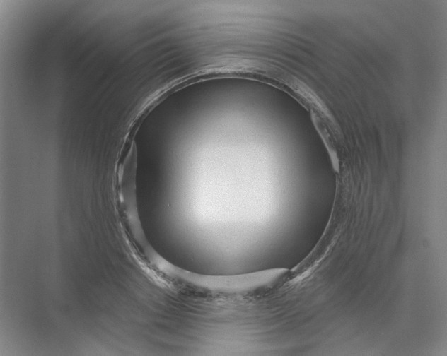 X0000073830842200608311906