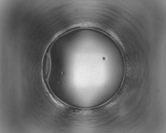 X0000073830845200608311906