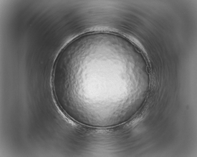 X0000073830847200608311906