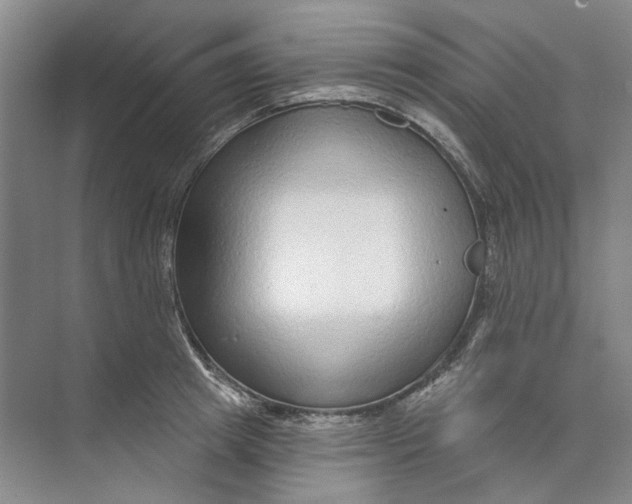 X0000073830849200608311906