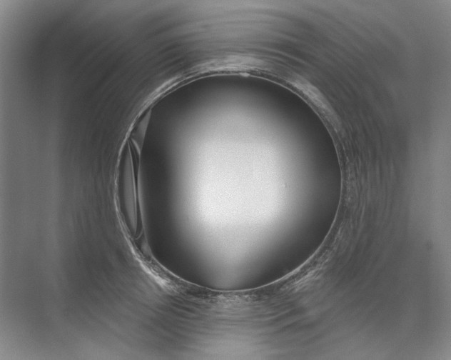 X0000073830850200608311906