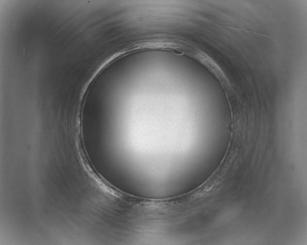 X0000073830852200608311907