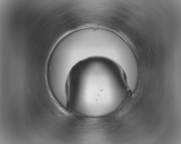 X0000073830854200608311907