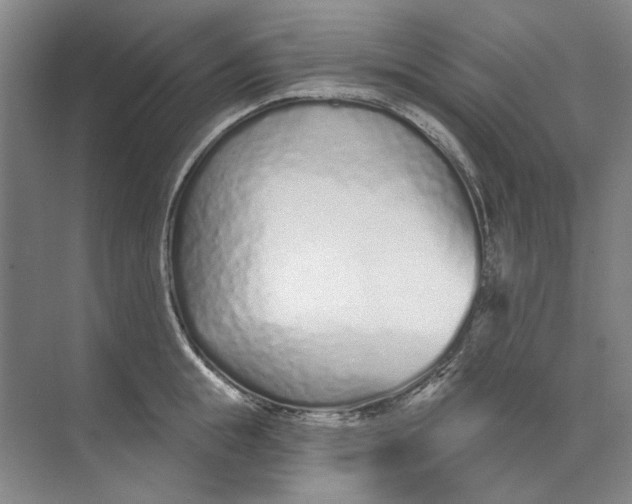 X0000073830855200608311907