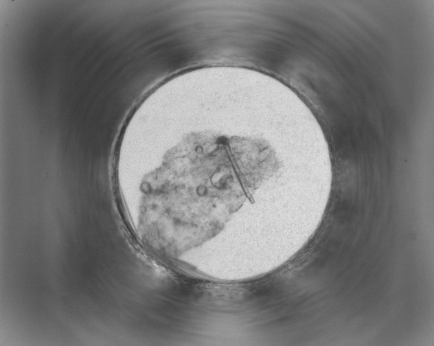 X0000073830856200608311907