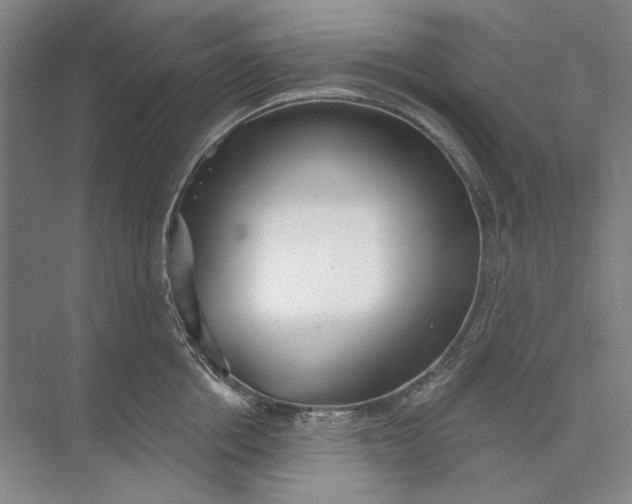 X0000073830858200608311907