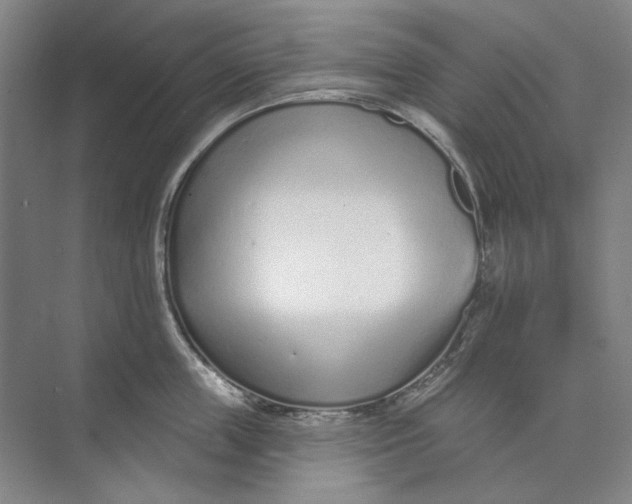 X0000073830859200608311907