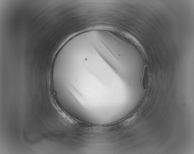 X0000073830860200608311907