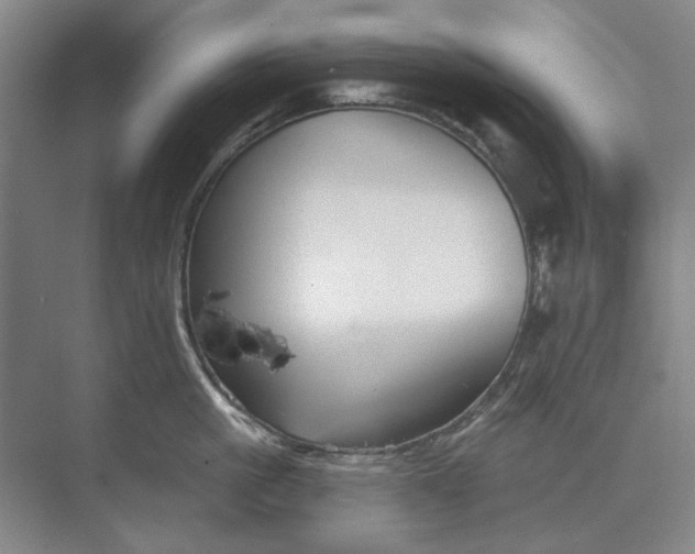 X0000073830861200608311907