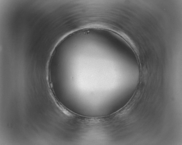 X0000073830862200608311907