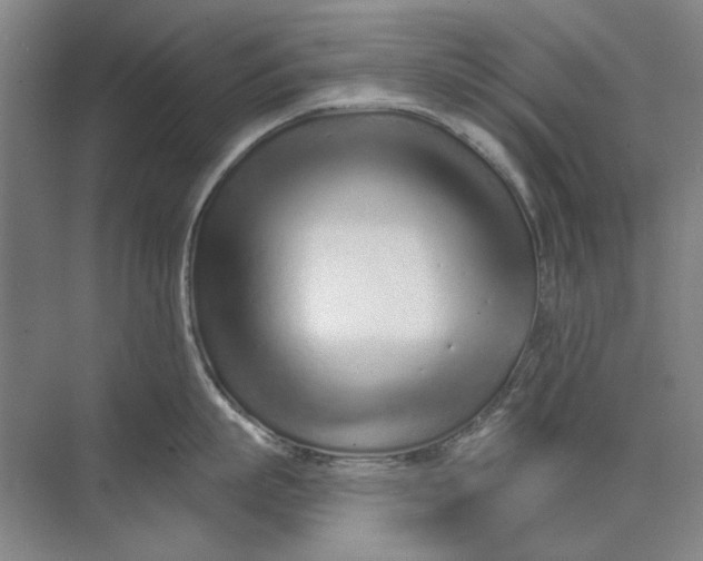 X0000073830863200608311907