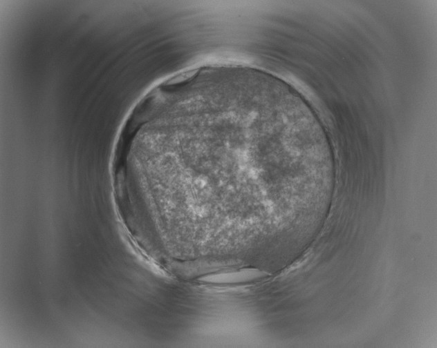 X0000073830864200608311907